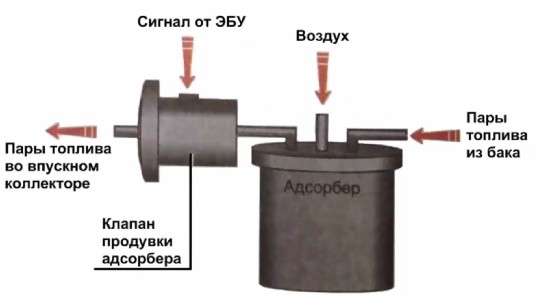 Направляющие пальцы и пыльники суппорта