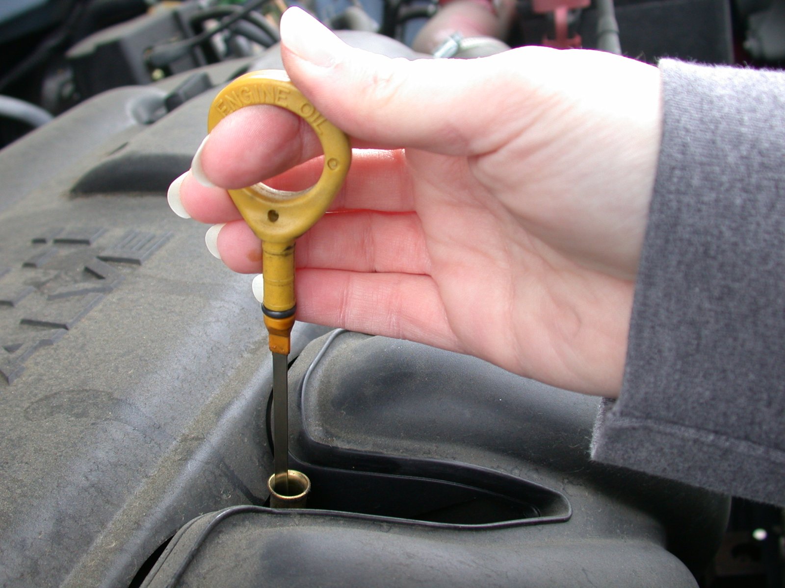 Щуп с подписью ENGINE OIL в моторном отсеке
